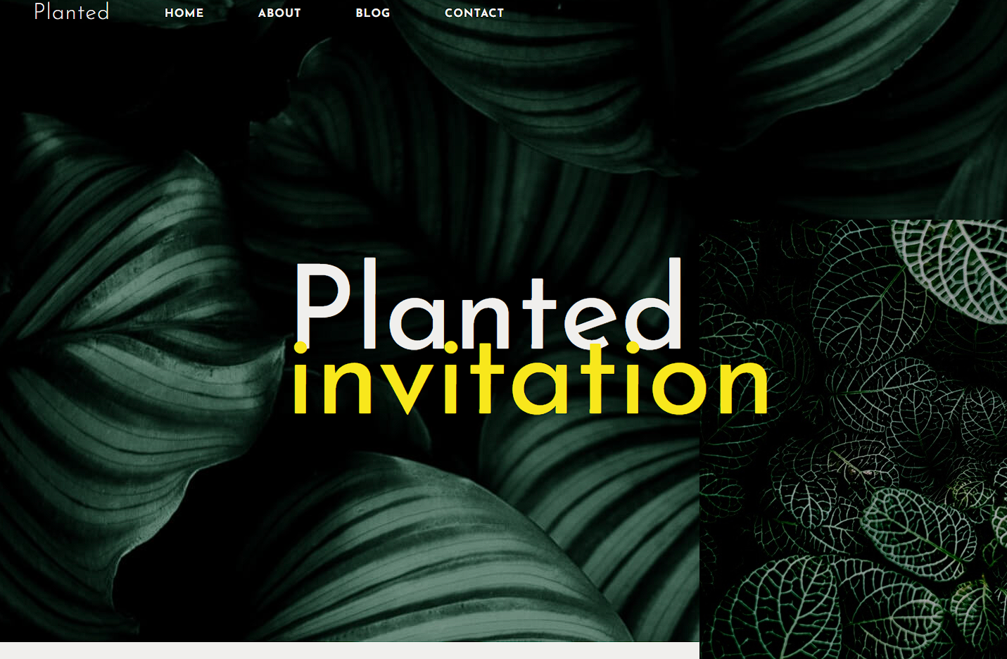 Planted website